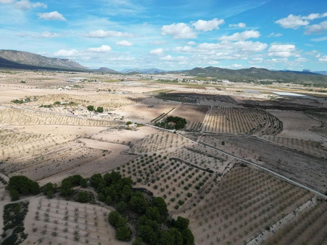 Terreno en venta en Pinoso, Alicante photo 5