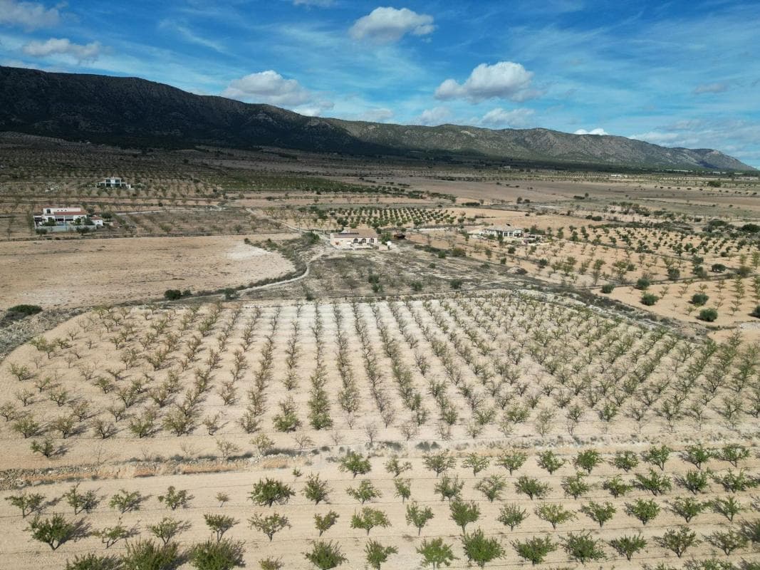 Terreno en venta en Pinoso, Alicante photo 3