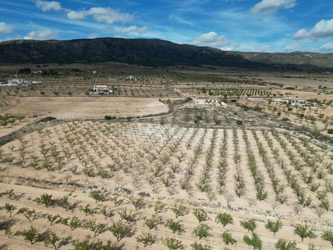 Terreno en venta en Pinoso, Alicante photo 4