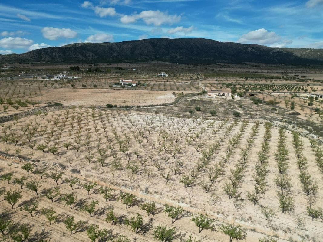 Terreno en venta en Pinoso, Alicante photo 5