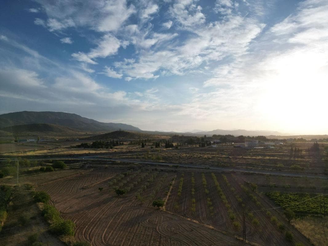 Terreno en venta en Pinoso, Alicante photo 3