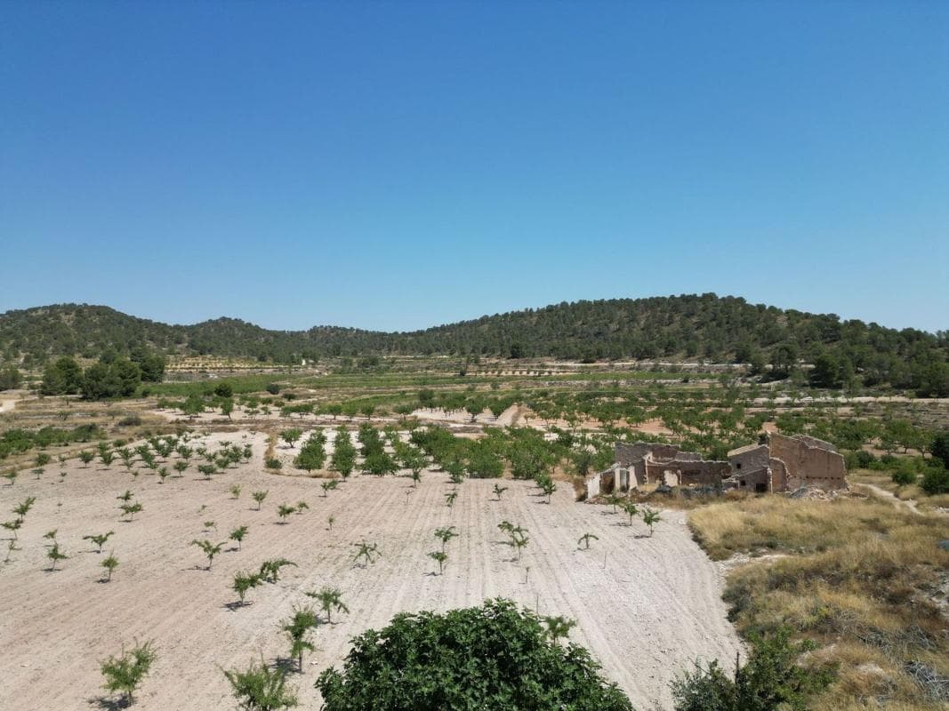 Terreno en venta en Pinoso, Alicante photo 4