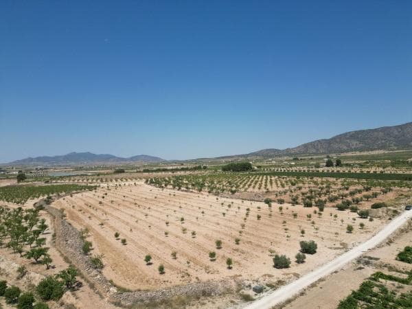 Terreno en Pinoso photo 4