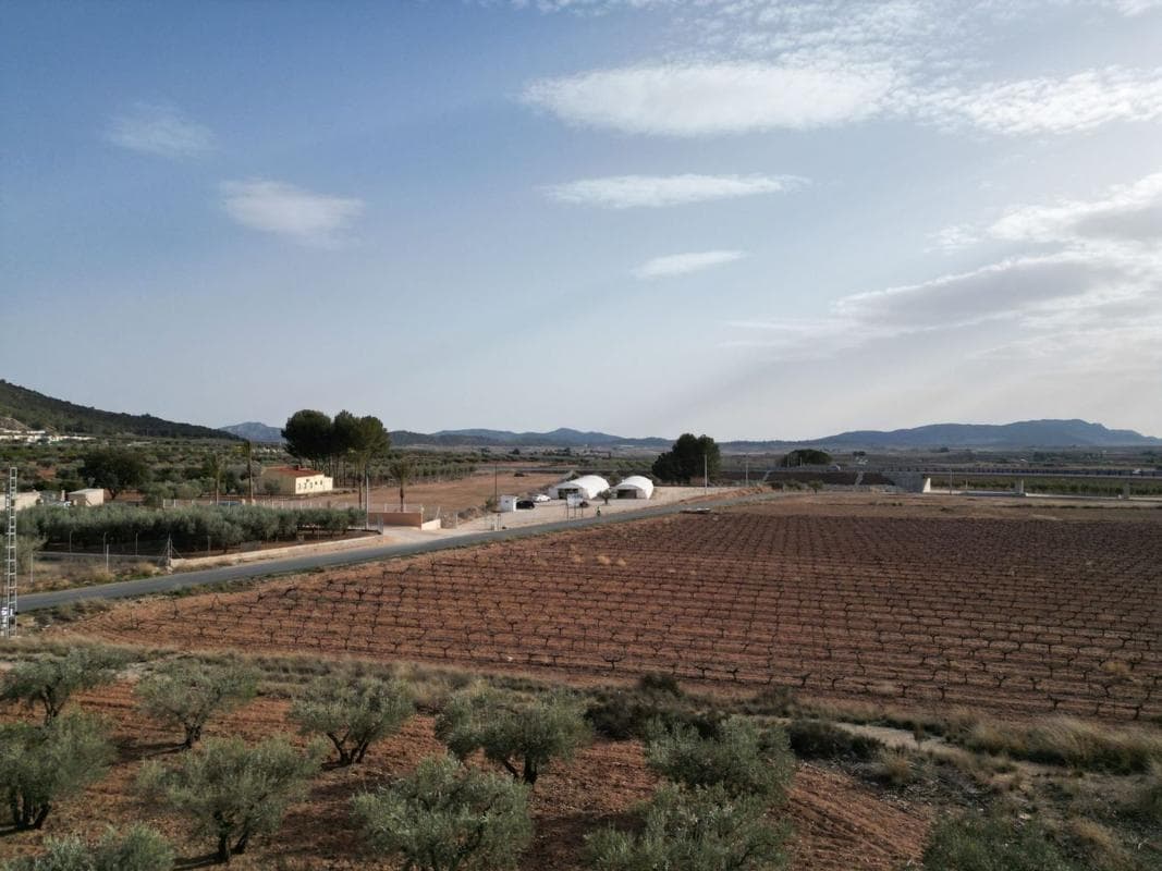 Terreno en venta en Pinoso, Alicante photo 2