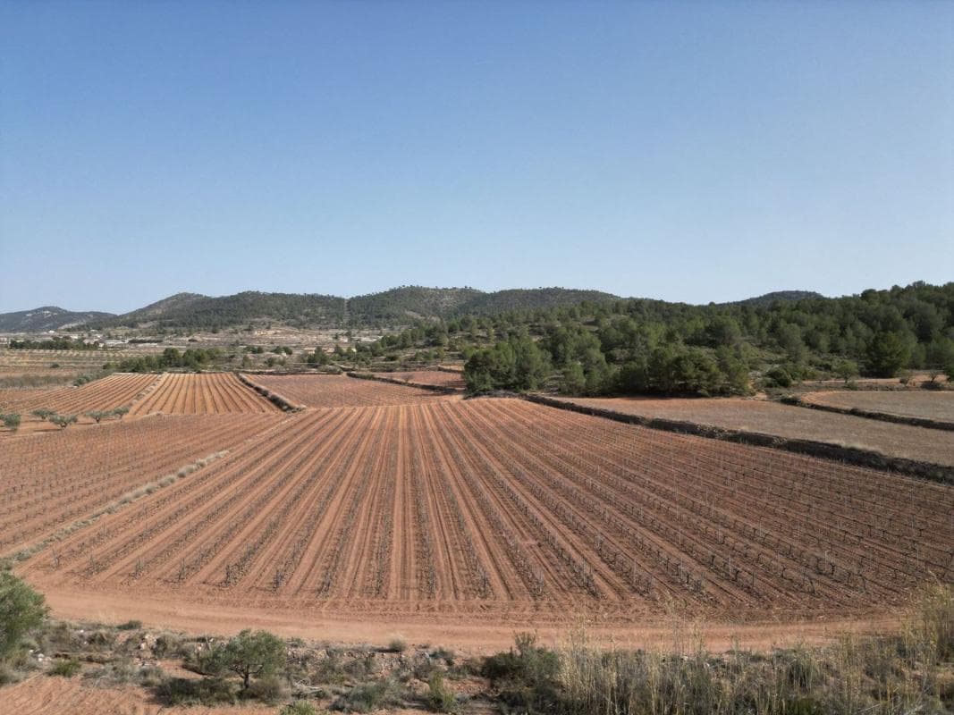 Terreno en venta en Pinoso, Alicante photo 5
