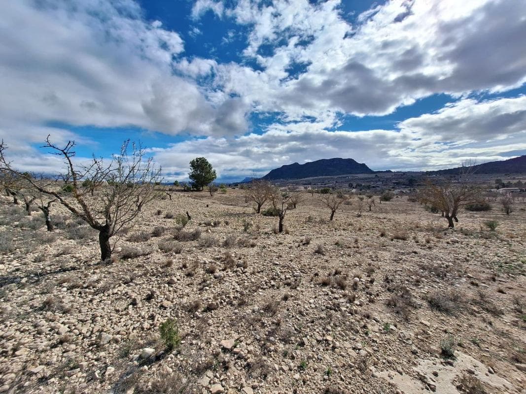 Terreno en venta en Salinas, Alicante photo 2