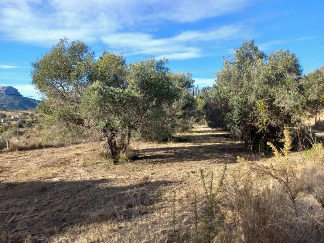 Terreno en venta en Benissa, Alicante photo 4