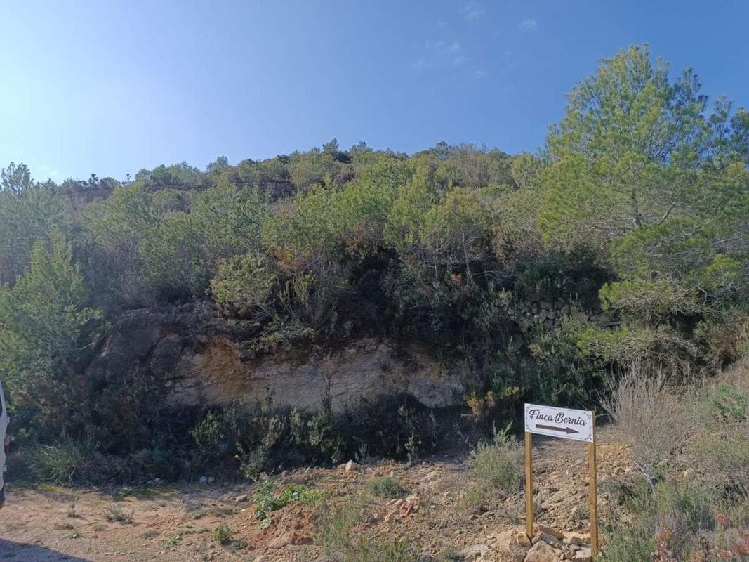 Terreno en venta en Llíber, Alicante photo 4