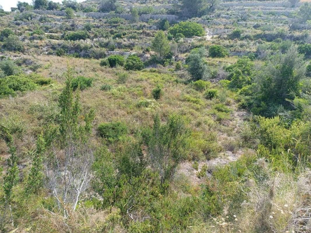 Terreno en venta en Benissa, Alicante photo 5