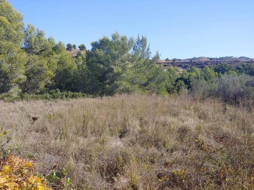 Terreno en venta en Benissa, Alicante photo 4