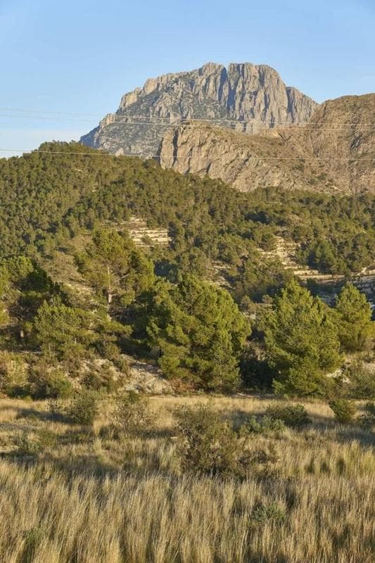 Terreno en venta en Sella, Alicante photo 2