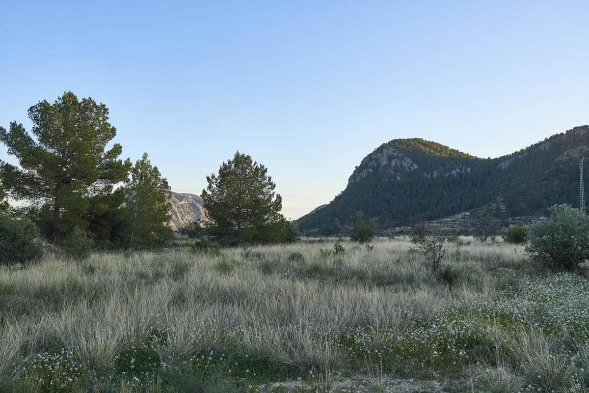 Terreno en venta en Sella, Alicante photo 4