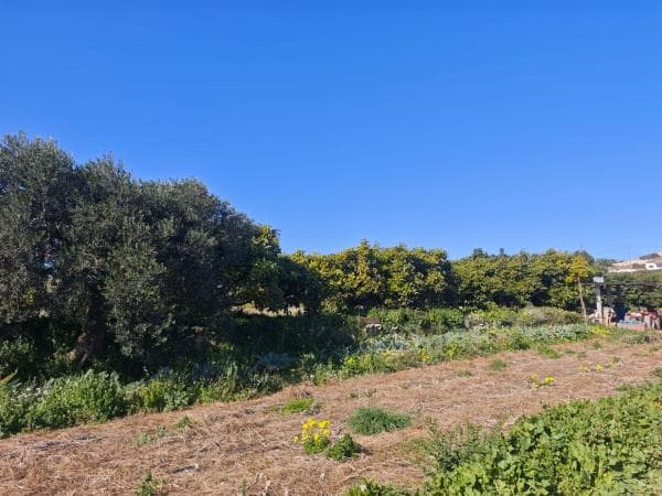 Terreno en Sol de Este - Puerta Fenicia, Jávea/Xàbia thumbnail 1