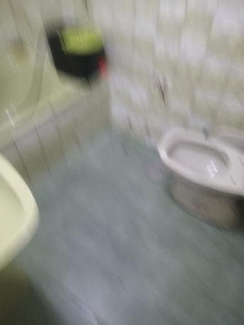 Alquiler Apartamentos photo 1
