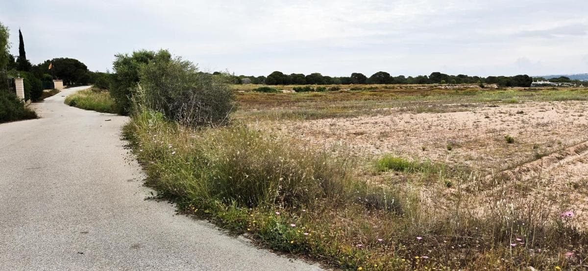 Terreno en venta en Elche / Elx, Alicante photo 2