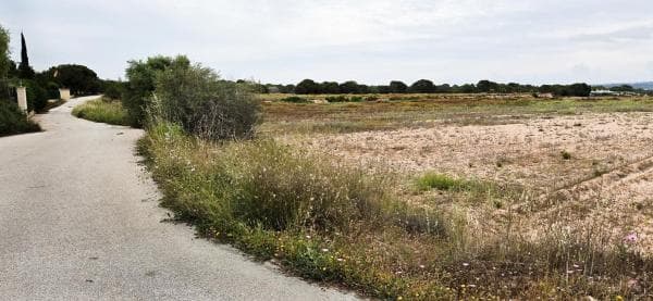 Terreno en Valverde, Elche / Elx thumbnail 1