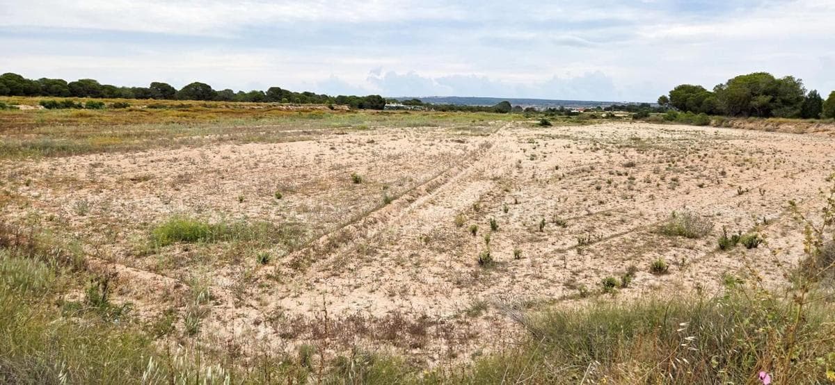 Terreno en venta en Elche / Elx, Alicante photo 3