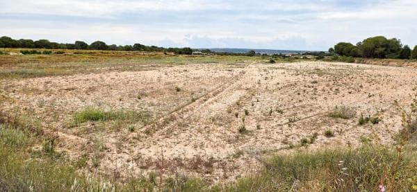 Terreno en Valverde, Elche / Elx thumbnail 2