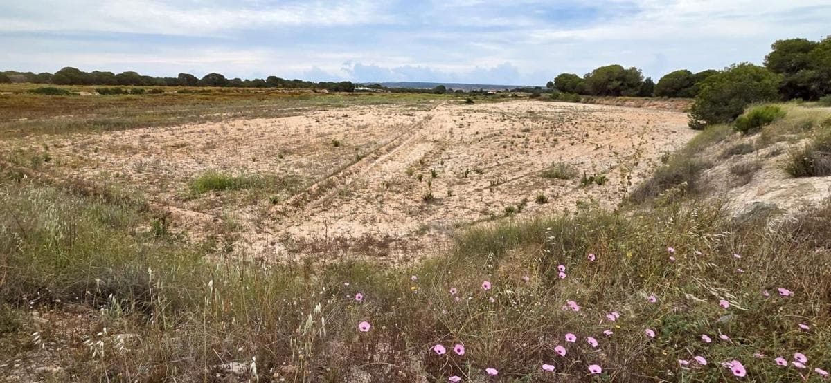 Terreno en venta en Elche / Elx, Alicante photo 4
