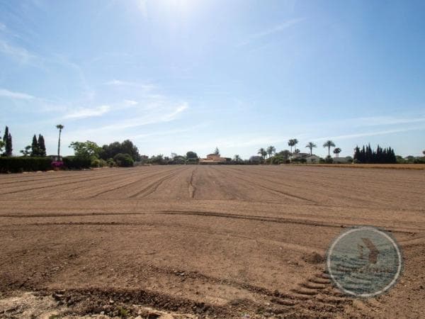 Terreno en Vereda la Florida, Dolores thumbnail 1