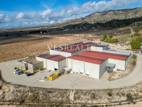 Terreno en Pinoso photo 1