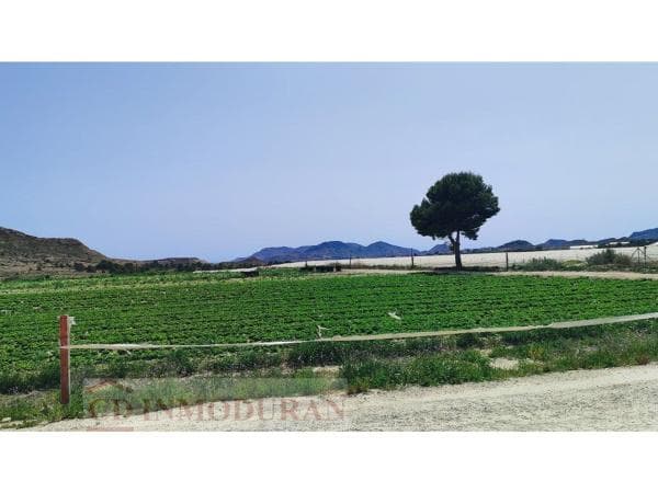 Terreno en Calle Ibi, 5, Agost thumbnail 1