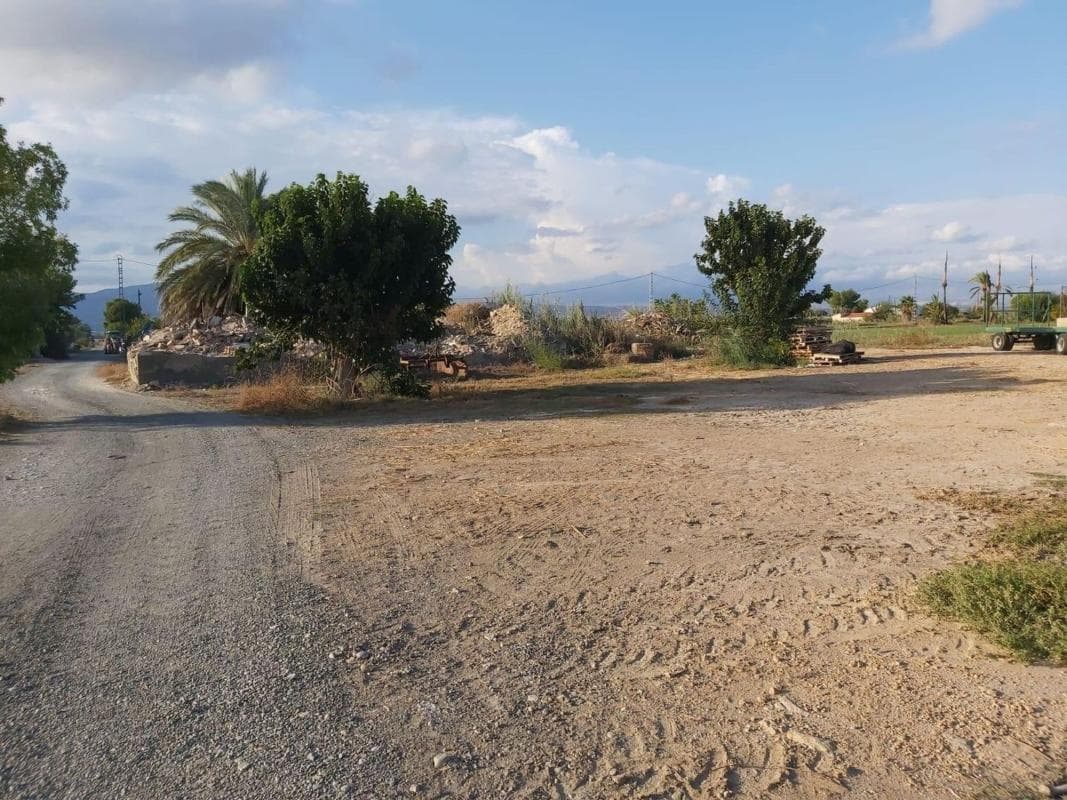Terreno en venta en Crevillente, Alicante photo 3