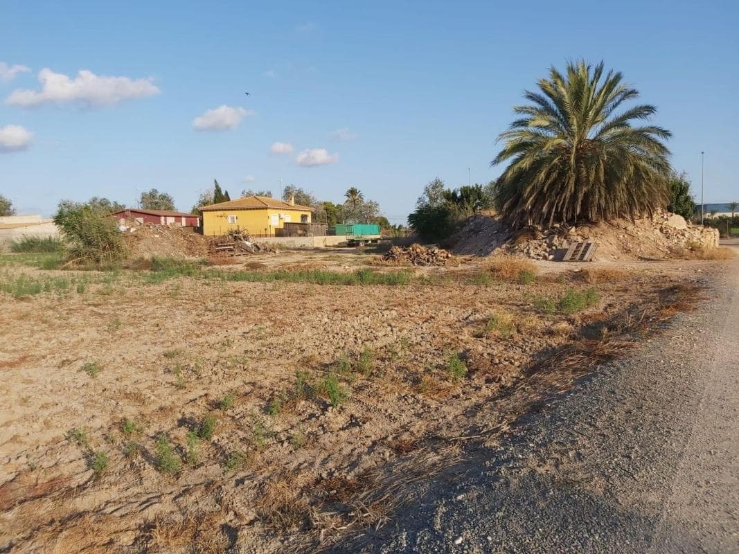 Terreno en venta en Crevillente, Alicante photo 5