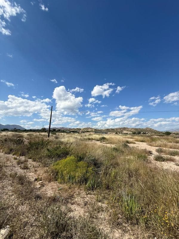 Terreno en venta en Alicante / Alacant, Alicante photo 4