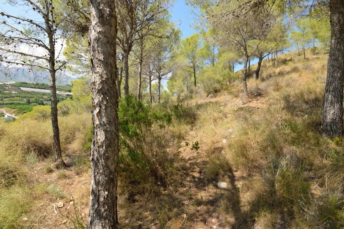 Terreno en venta en Altea, Alicante photo 2