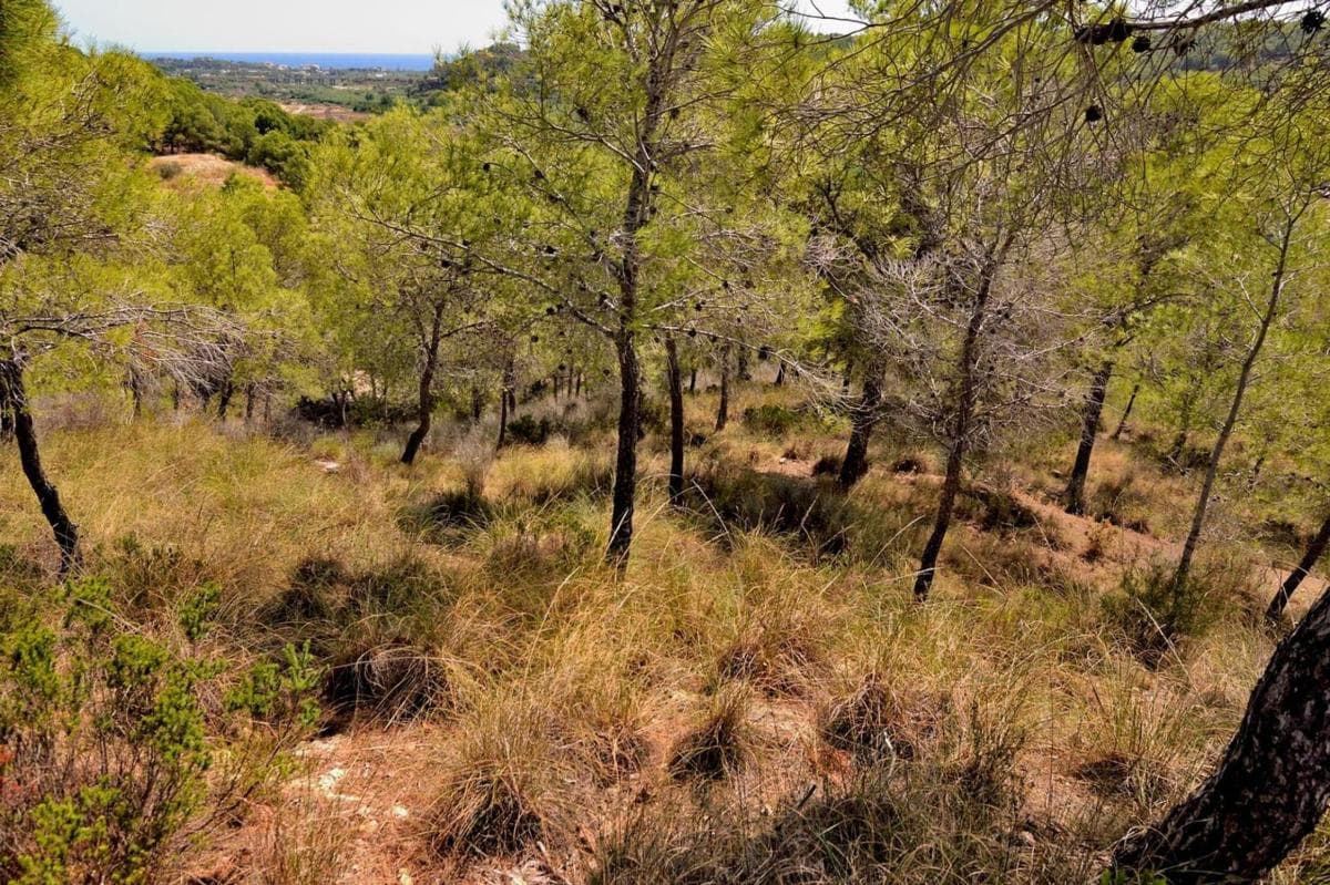Terreno en venta en Altea, Alicante photo 4