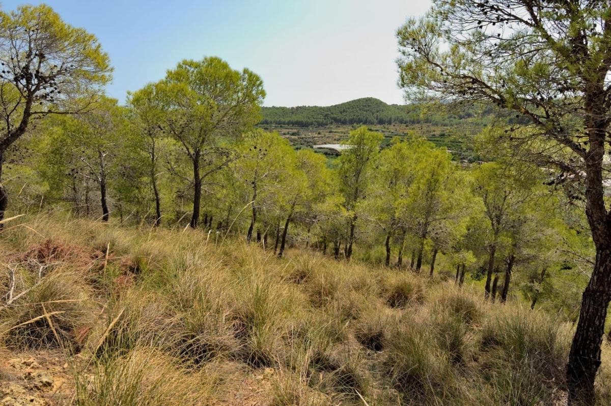 Terreno en venta en Altea, Alicante photo 5