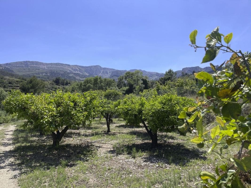 Działka na sprzedaż w Beniarda, Alicante photo 2