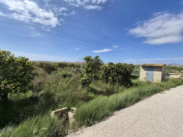 Terreno en Partida Almarjal, Puerto Deportivo, Guardamar del Segura photo 1