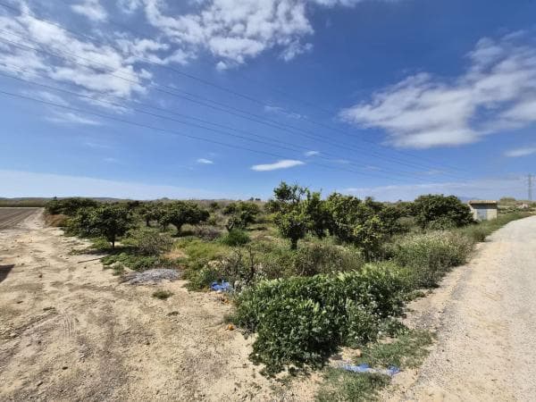Terreno en Partida Almarjal, Puerto Deportivo, Guardamar del Segura thumbnail 2