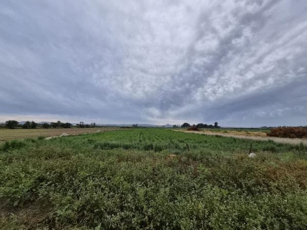 Terreno en Terreno La Capitana, Puerto Deportivo, Guardamar del Segura thumbnail 1