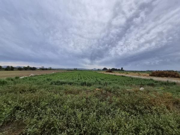 Terreno en Terreno La Capitana, Puerto Deportivo, Guardamar del Segura thumbnail 2