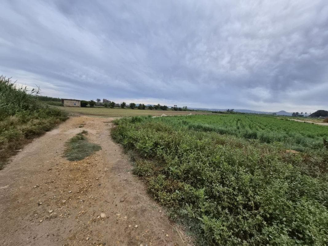 Terreno en venta en Guardamar del Segura, Alicante photo 5