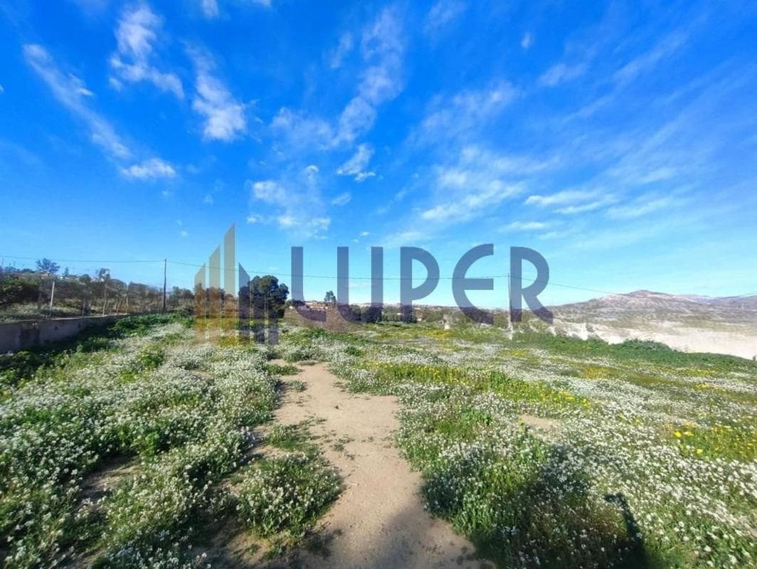 Land for sale in Rebolledo, Alicante photo 5