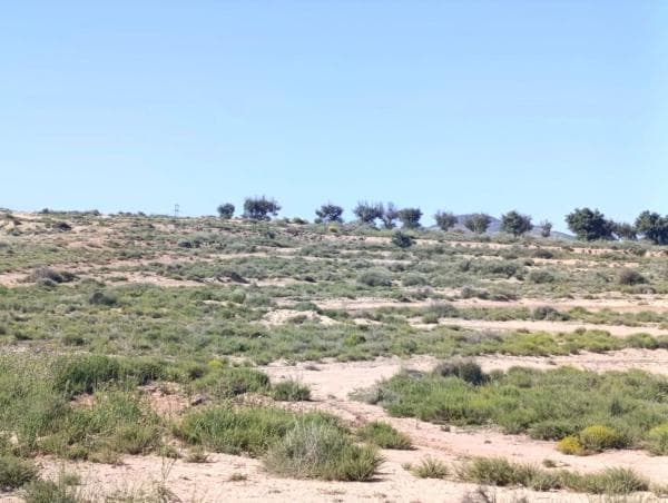 Terreno en Cv-813, Las Tiesas, Villena thumbnail 1