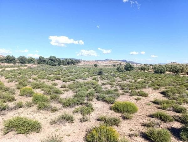 Terreno en Cv-813, Las Tiesas, Villena thumbnail 2