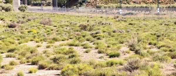 Terreno en Las Tiesas, Villena thumbnail 1