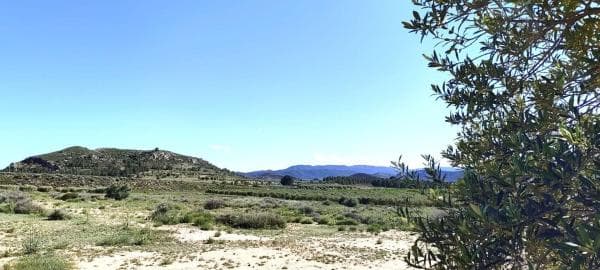 Terreno en Las Tiesas, Villena thumbnail 2