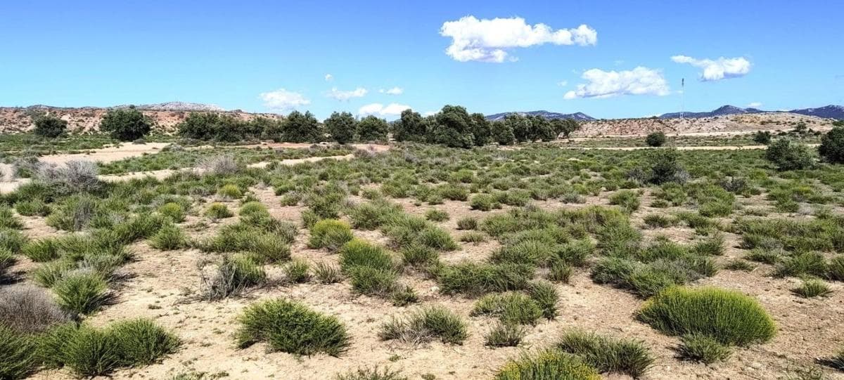 Terreno en venta en Villena, Alicante photo 4