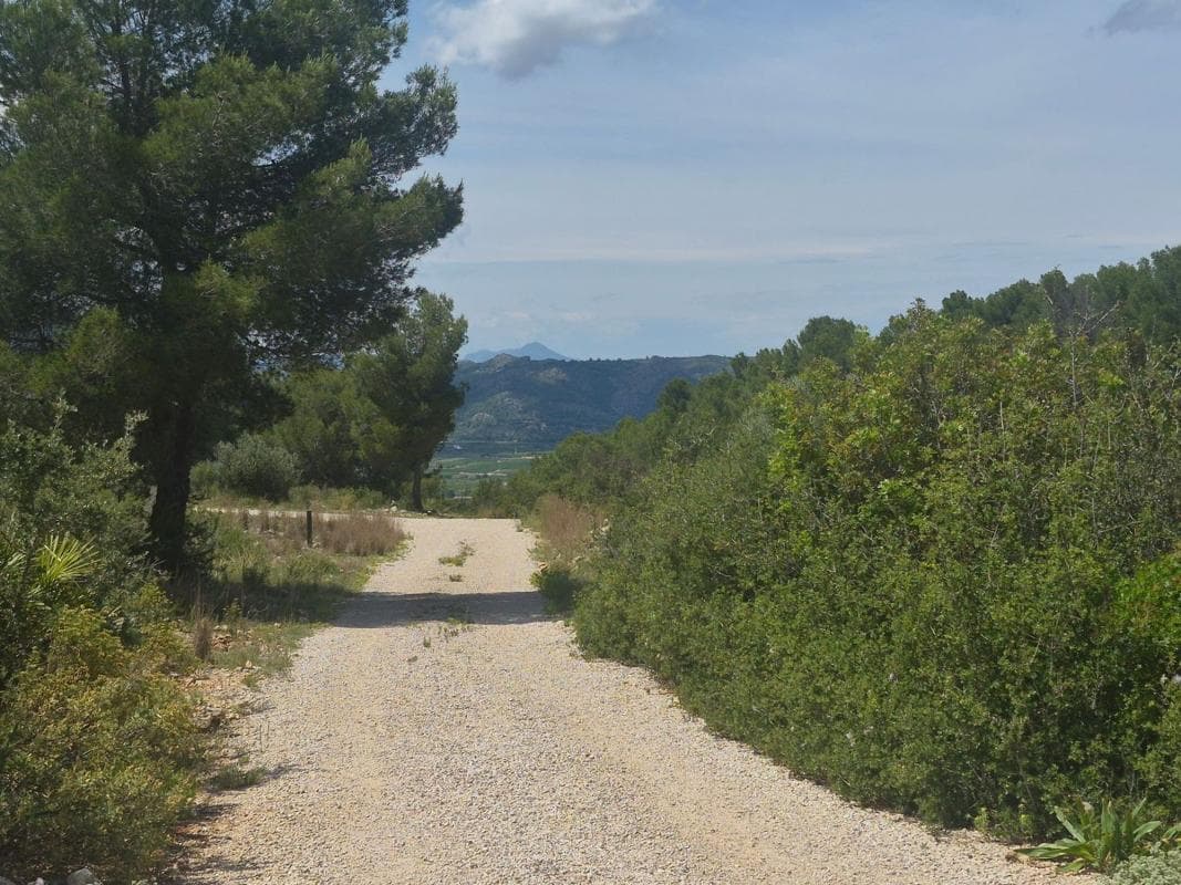 Terreno en venta en Benidoleig, Alicante photo 5