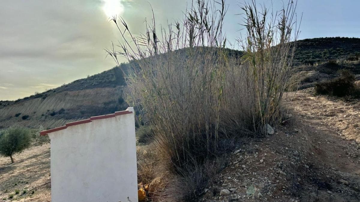 Terreno en venta en Aspe, Alicante photo 3