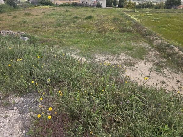 Terreno en Pedanías Este, Aspe photo 1