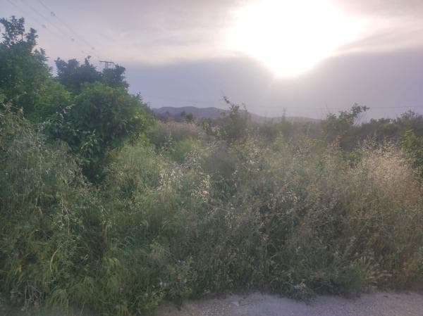 Terreno en Montepinar-La Aparecida-Raiguero, Orihuela thumbnail 2