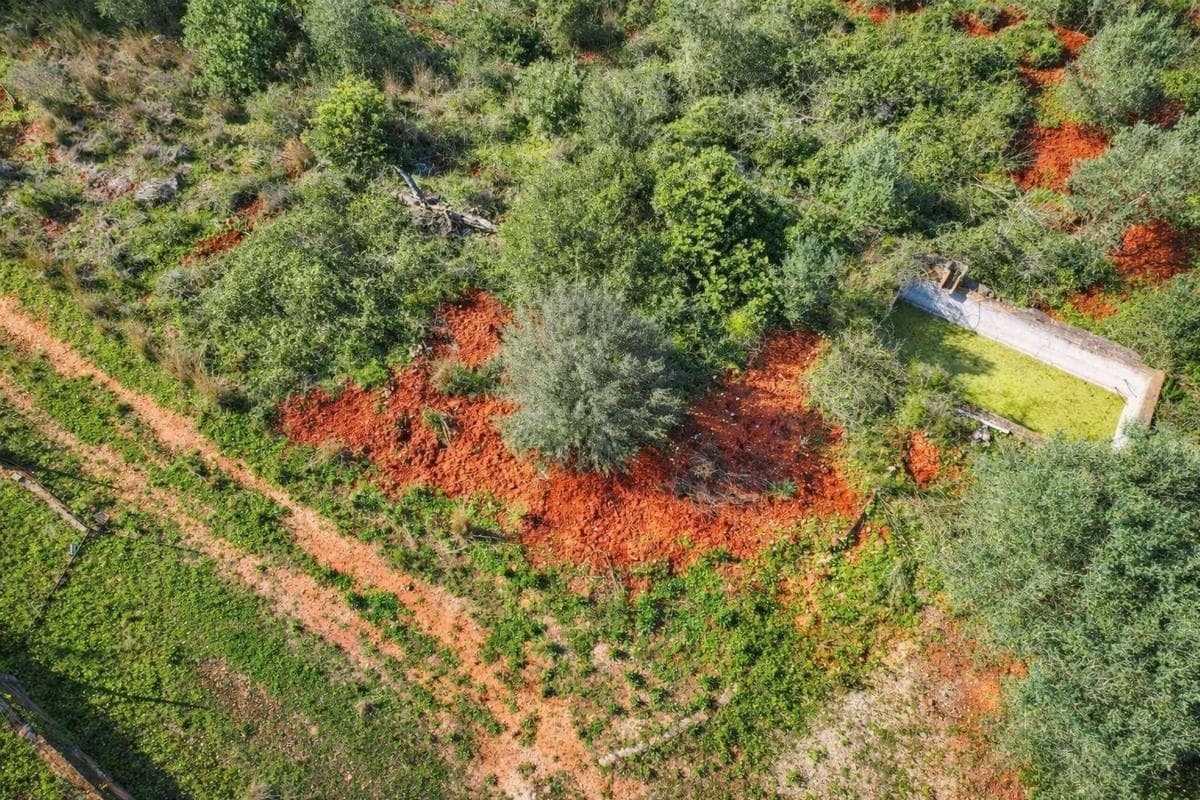 Terreno en venta en Adsubia, Alicante photo 3