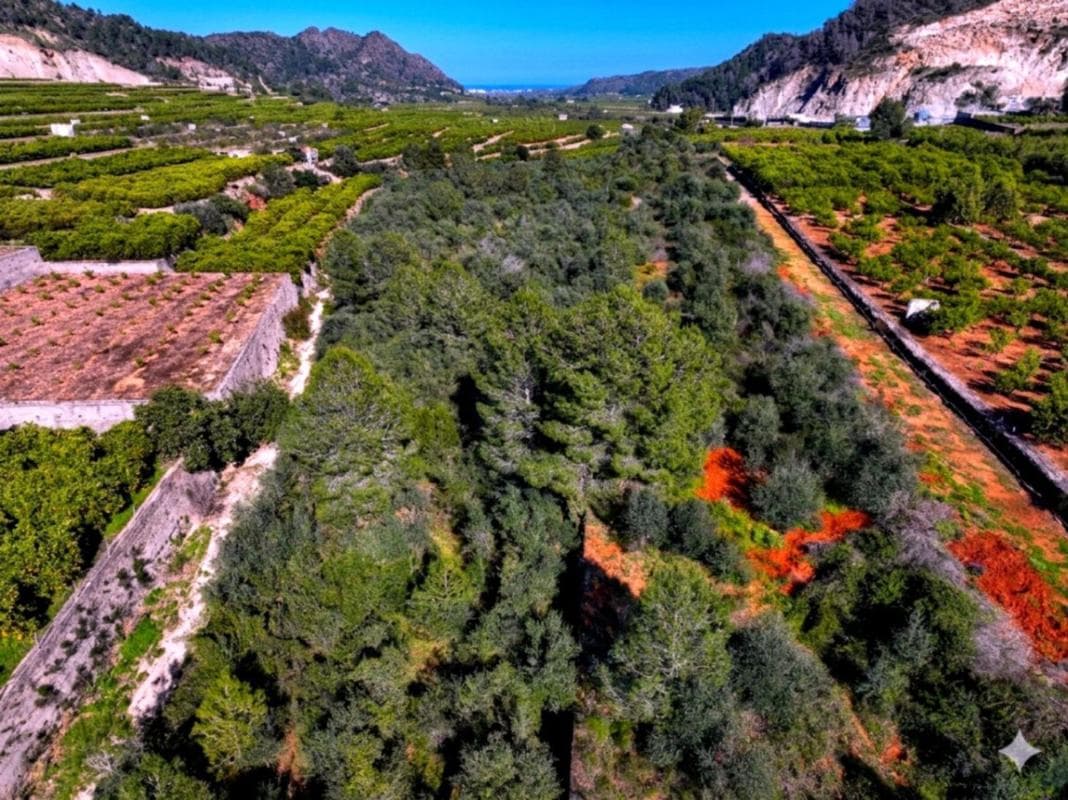 Terreno en venta en Adsubia, Alicante photo 5